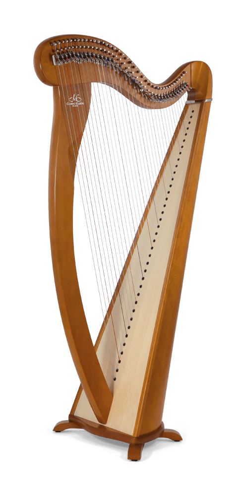 harpe 38 cordes camac melusine a bordeaux
